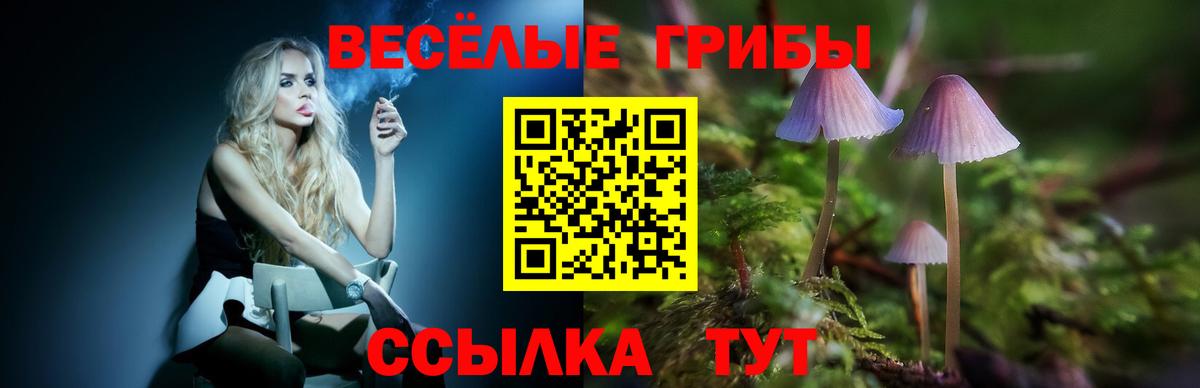 Псилоцибиновые грибы Cubensis Лесозаводск